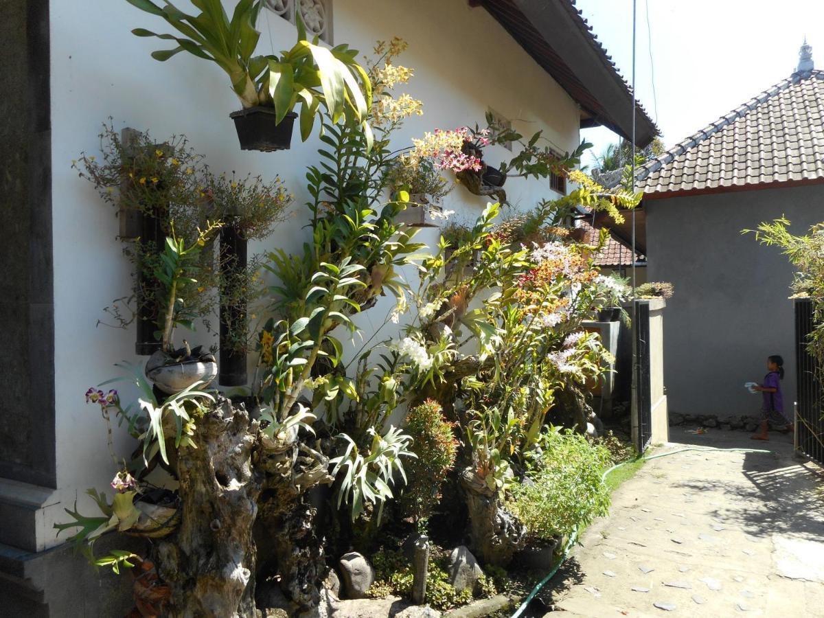 Dika Homestay Sidemen  Extérieur photo
